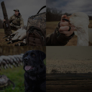 Rock Ridge Cupped Waterfowl