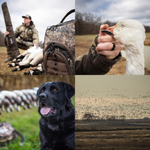 Rock Ridge Cupped Waterfowl