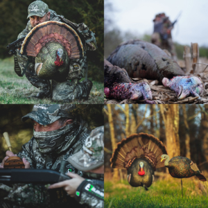 Rock Ridge The Grind